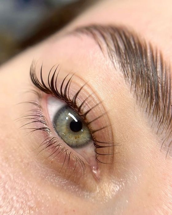 Обучение Ламинирование ресницы и бровей 50000