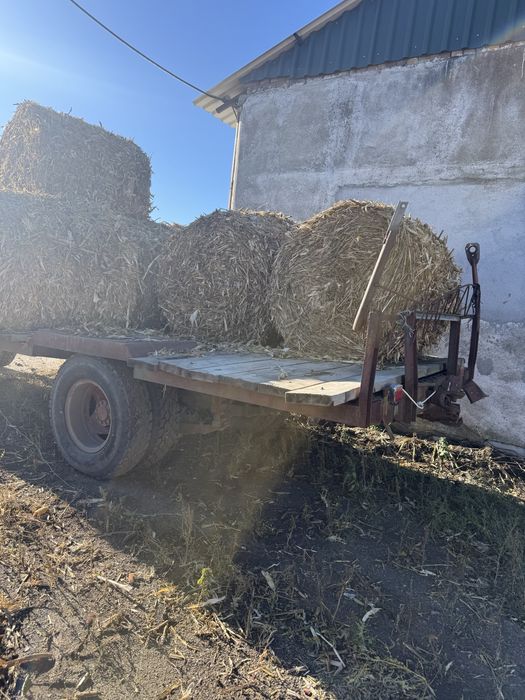 Vând baloți de tocătură de tulei 120/120