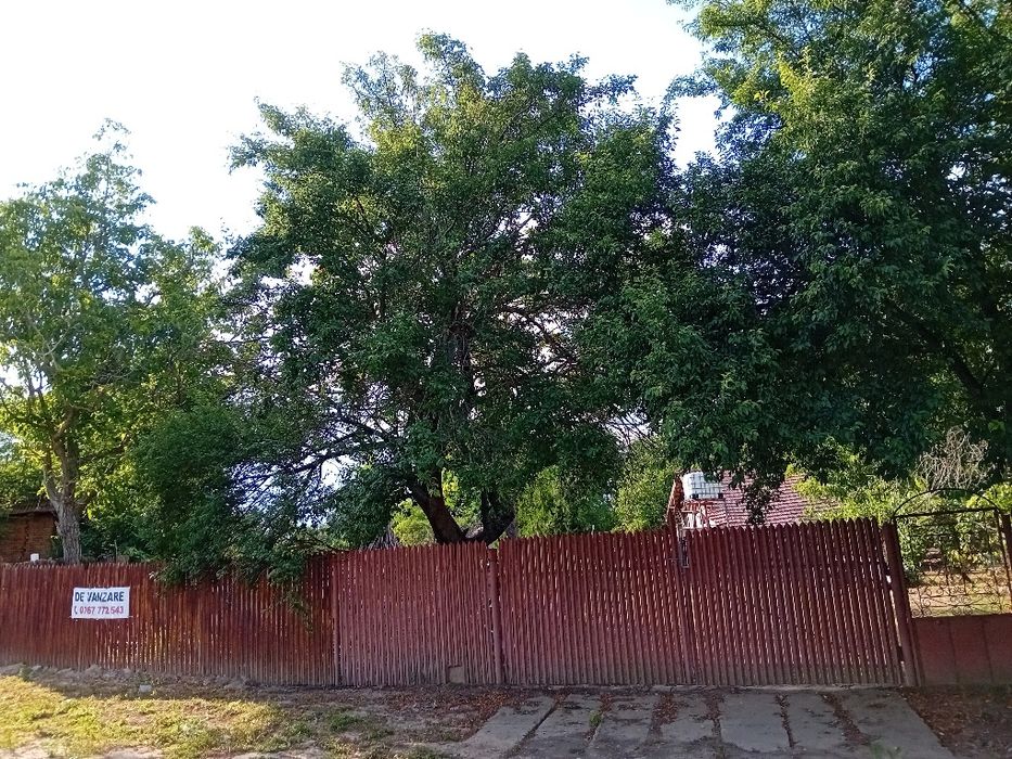 Teren intravilan Dridu‑Snagov