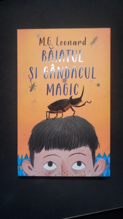 Baiatul si gandacul magic
