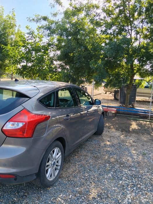 FORD Focus 2014 — imagine 3