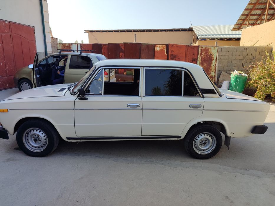 Yaxw gazibor 80 tali