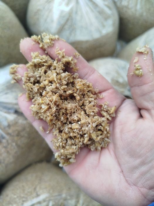 Продам ячменный жмых