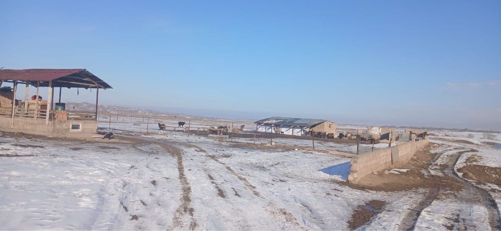 Продам 1 га Сауыншы КХ