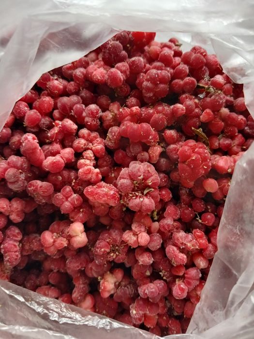 Продам малину мороженую