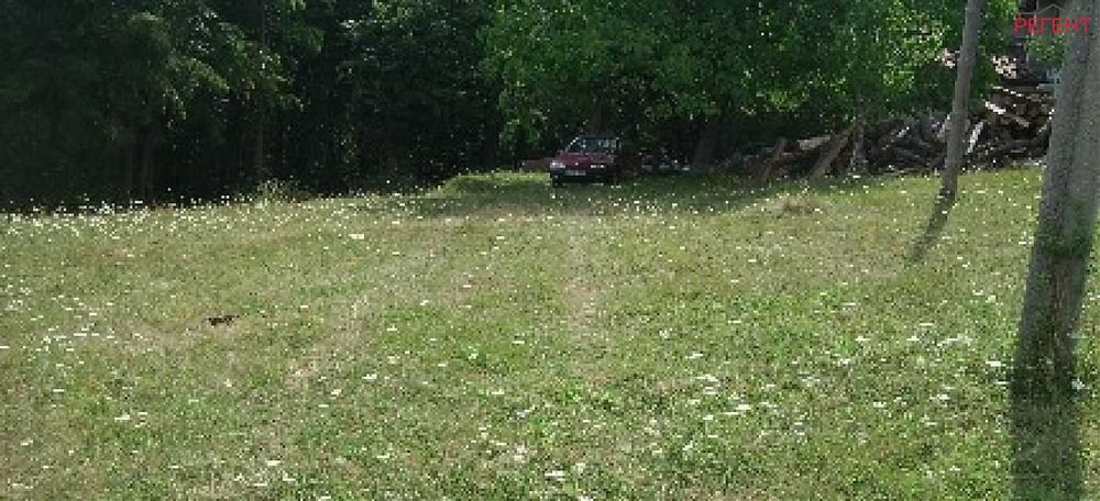 Парцел-Петкова нива-3200м²