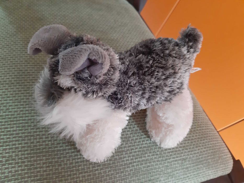 Породисти кучета