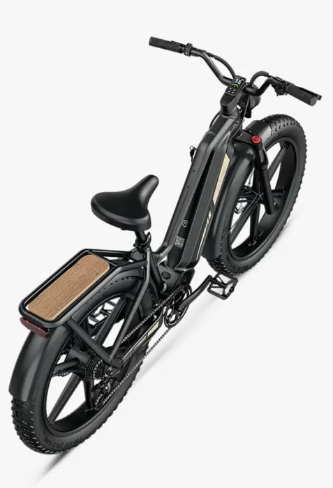 Bicicleta electrica Fiido Titan