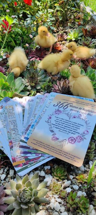 Carduri de rugăciune pentru copii