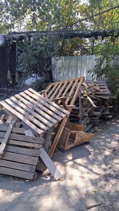 Ветки палаты на дрова