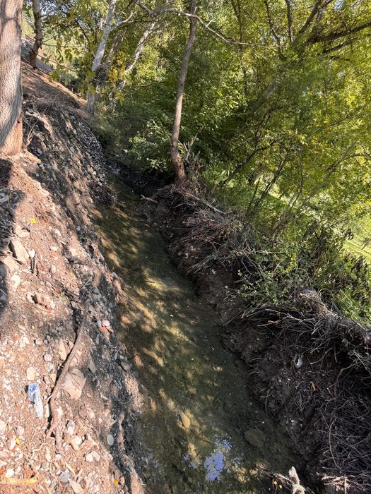 Продава се Парцел в с. Горна Козница, Област Кюстендил - 1485 кв.м за 5 €/кв.м - Снимка #19