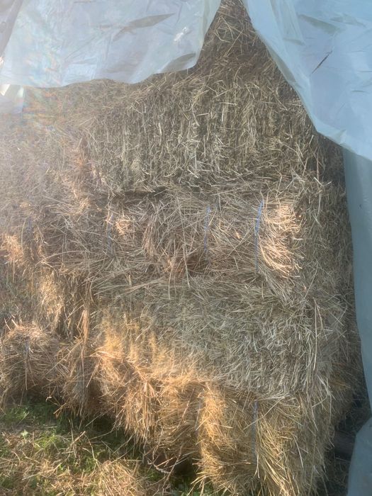 Baloți dreptunghiulari