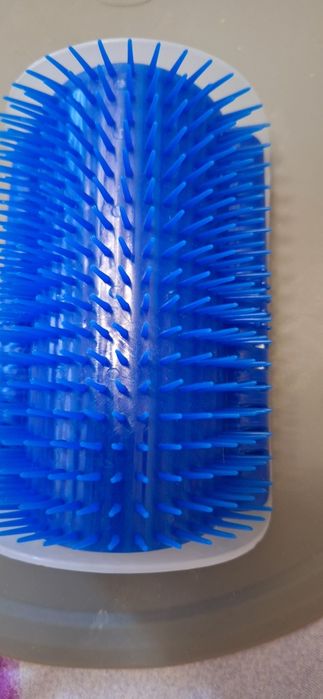 Аксесоари за котка,общо за 10лв.