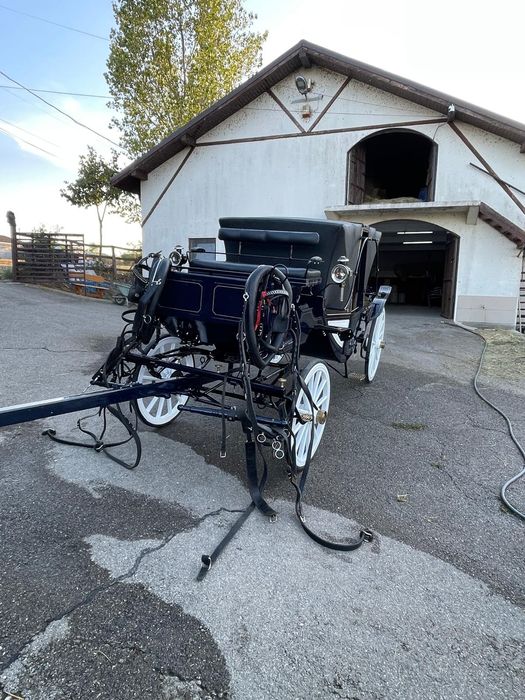 Vând trasura evenimente