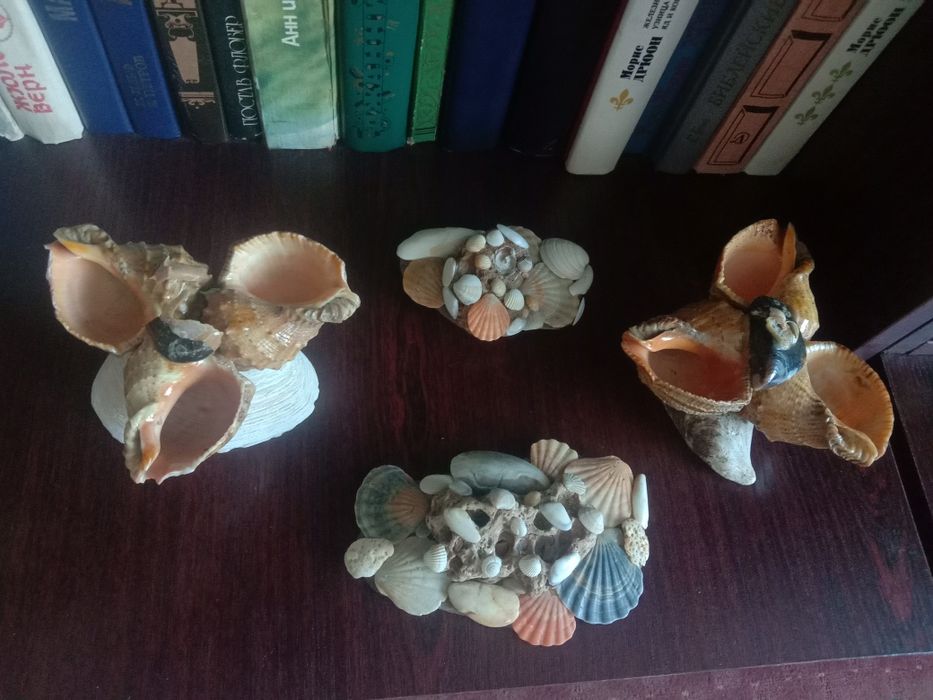 Ракушки, камушки.