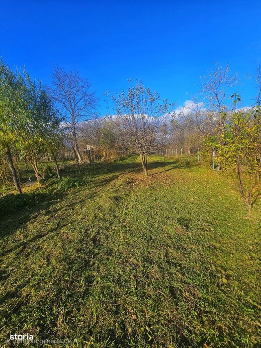 Mirva Imobiliare – Exclusivitate | Casă cu teren generos în Olteni