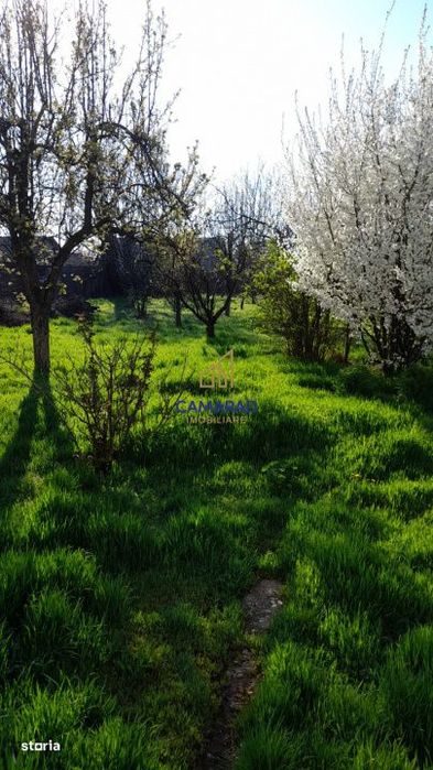 Teren de vanzare in Tamadau Mare, jud. Calarasi – Strada Principala