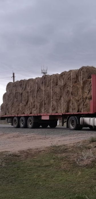 Шөп! Рулон, тюк разнотравье