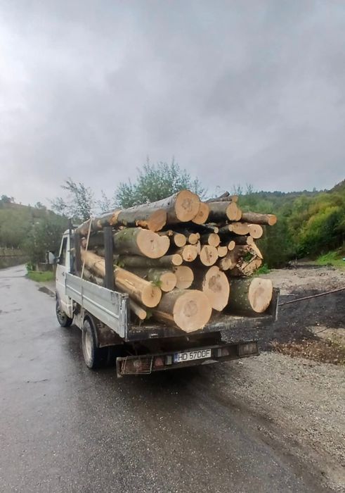 Lemn foc la 3 m !! Tot județul Hunedoara!