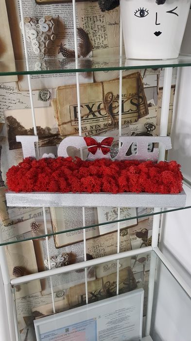 Aranjament cu  licheni