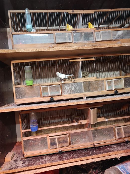 Прода шкаф для развидение