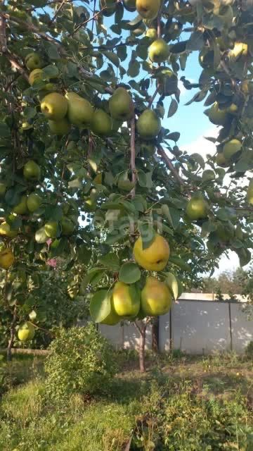 Продам дом в п. Заречный