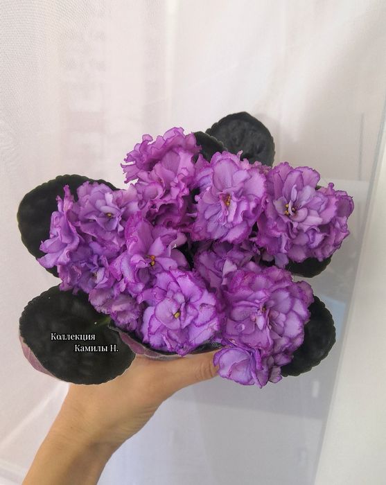 Продам горшки для цветов