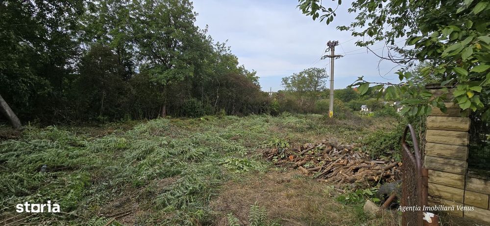 Teren cu suprafata de 1500mp mai sus de Casa Lux