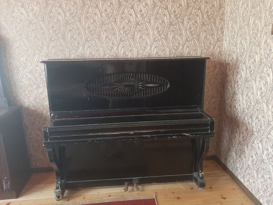 Пионина сотмлади