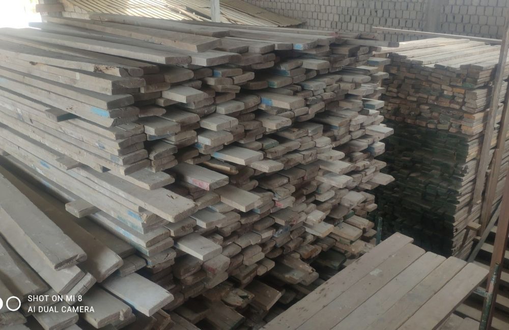 Lesa arenda, леса в аренду, леса аренда,