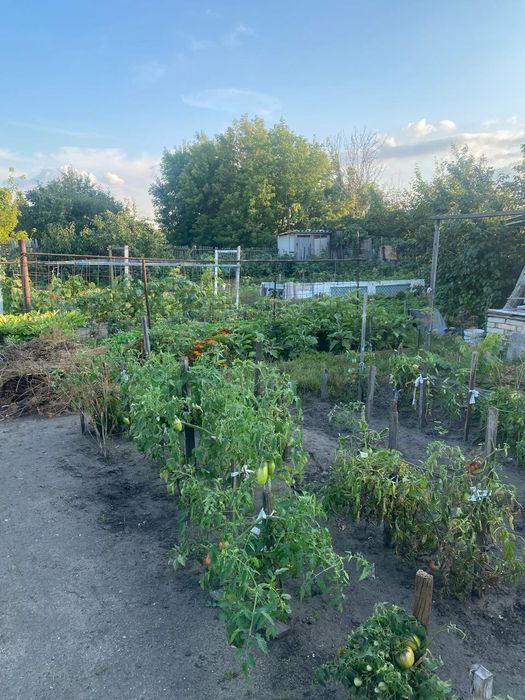 Продам дачу 17 маршрут, 1 общество