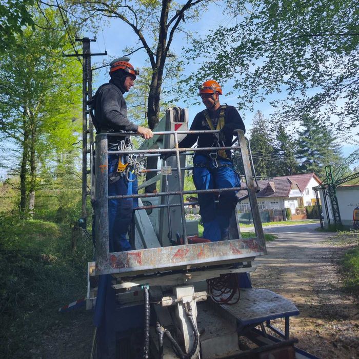 Toaletare arbori | Doborâre copaci