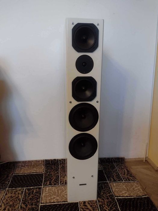 Boxe Dyna Voice Challenger M-65