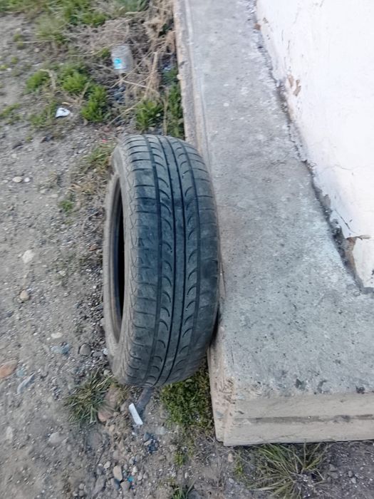 Донгелек сатамын