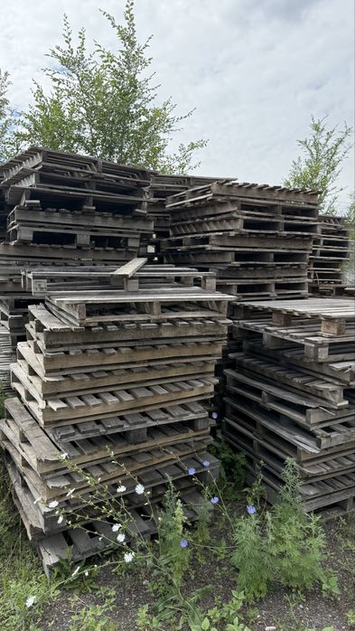 Продаю доски и поддоны для топки