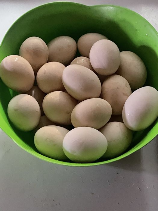 Oua de tara 1,5 lei bucata