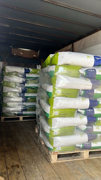 Семена кукурузы Си Гидро и Гладиус