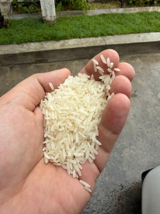 vishi Lazer guruch sotiladi