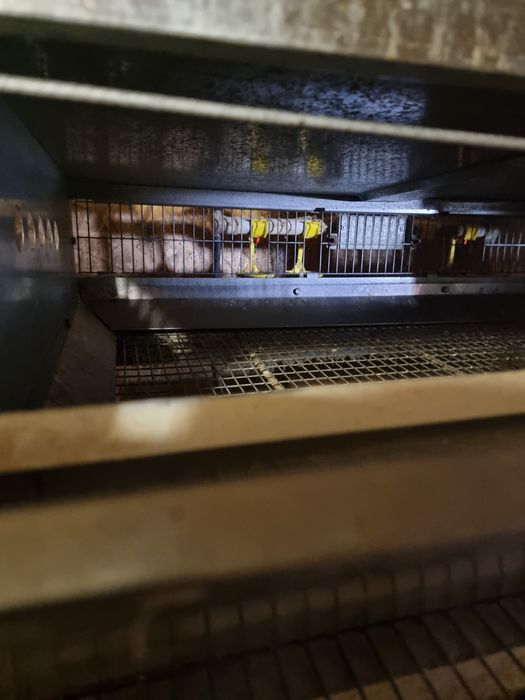 Продам перепелинные клетки