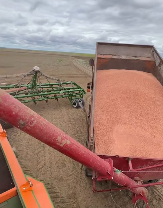 Камаз 5511 самосвал зерновоз