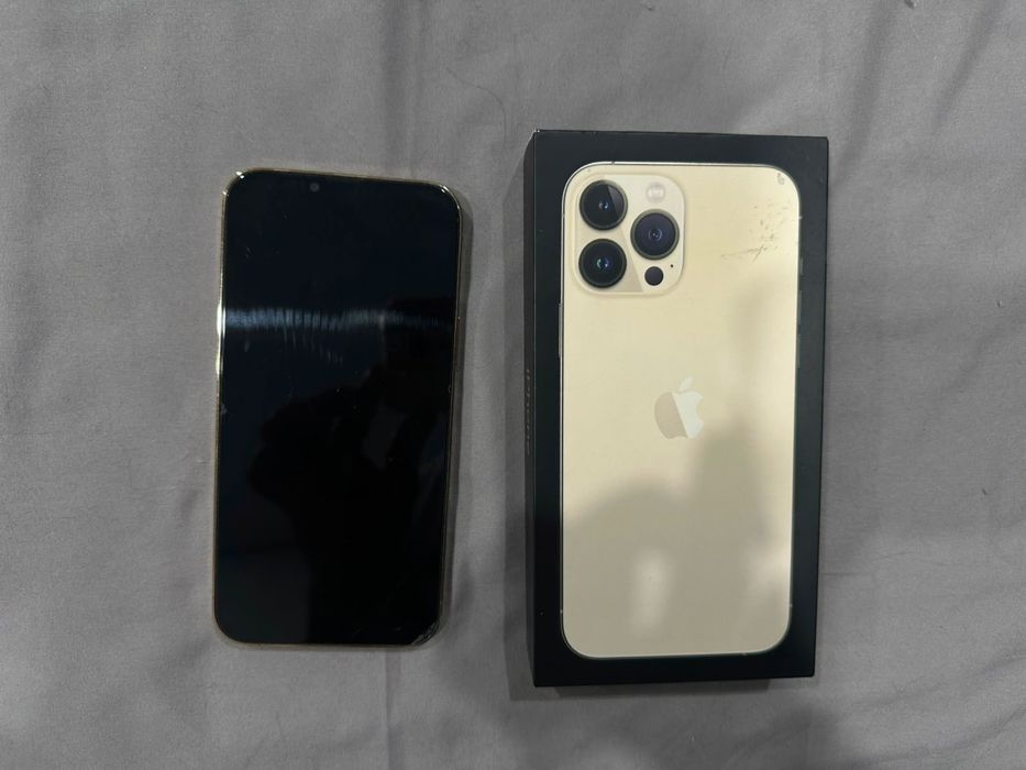 iPhone 13 Pro Max