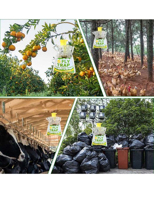 Ловушка для мух/ Pashsha tuzog'i