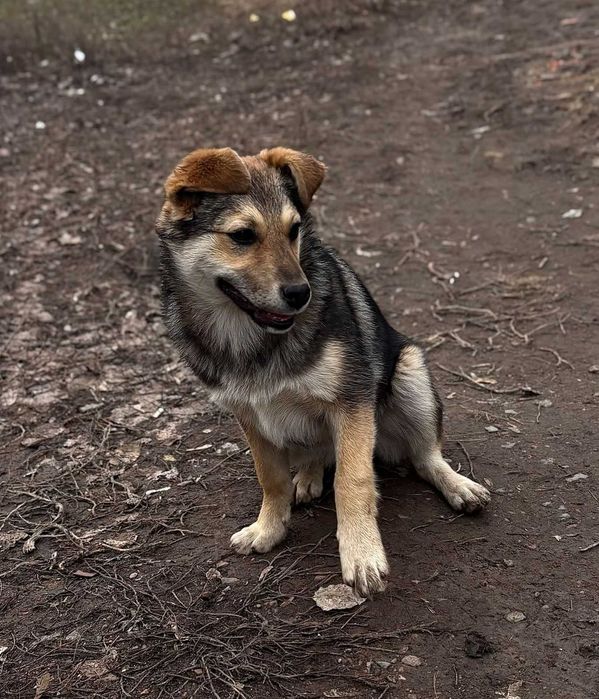 Девочка-красавица ищет заботливую семью