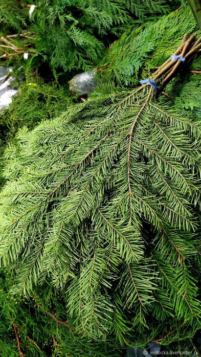 Пихтовые веники для бани