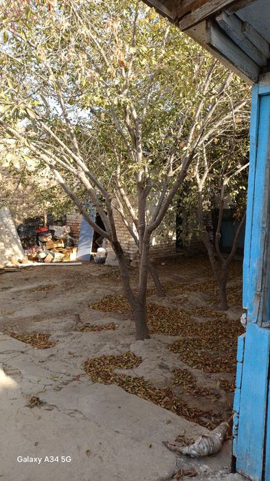 Уй сатылады Асықата