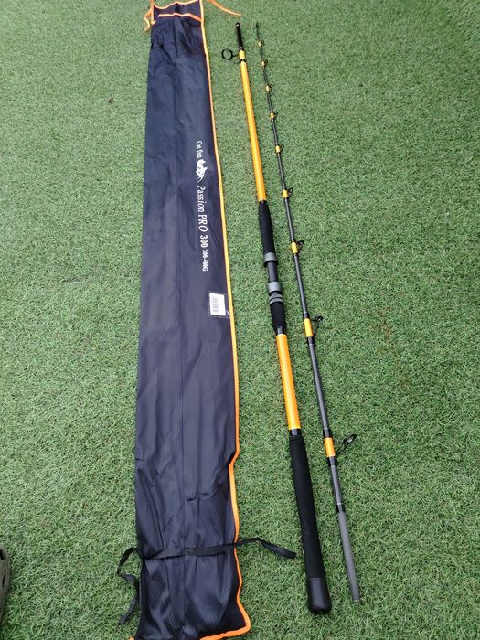 Lanseta FL Passion Cat Fish 3m 300-600g