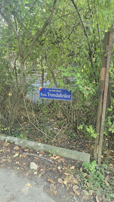 Loturi teren Poiana Campina, 30eur/mp,apa,curent,gata pentru construir