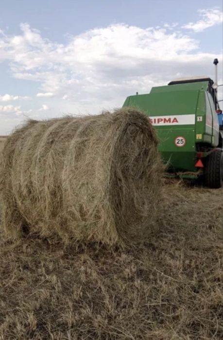 Сена  Тюук рулон Астана