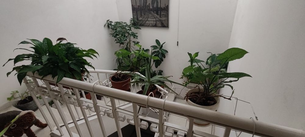 Дава се под наем Тристаен апартамент в София, Лозенец - 95 кв.м за 900 € - Снимка #11