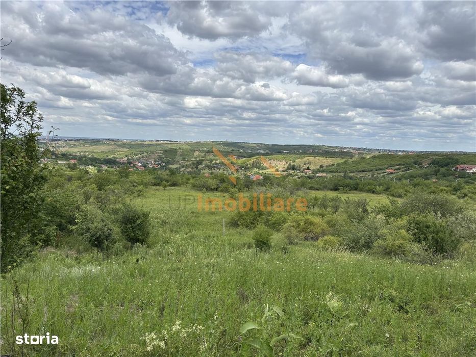 Teren Intravilan  |  1.824 Mp  |  Dealuri  |  Oradea
